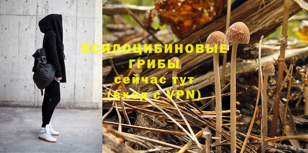 mdpv Пересвет