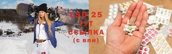 ПСИЛОЦИБИНОВЫЕ ГРИБЫ Пестово