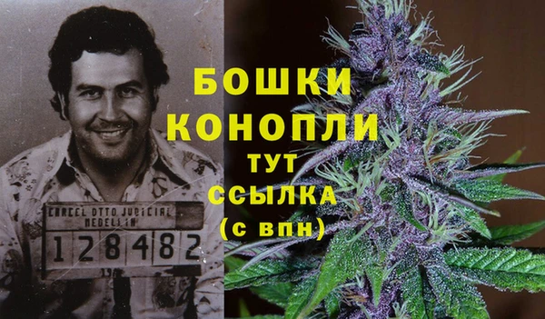 ПСИЛОЦИБИНОВЫЕ ГРИБЫ Пестово