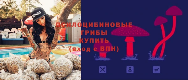 mdpv Пересвет